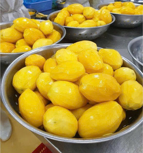 Xoài đông lạnh cắt giảm một nửa cung cấp ổn định cho chế biến thực phẩm công nghiệp đóng hộp và sản xuất bữa ăn có quy mô lớn - Product Image 3