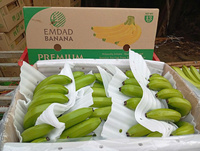 FRESH CAVENDISH BANANA VERDE PROVEEDORES DE EXPORTACIÓN DE VIETNAM BLUE LOTUS PRECIO BARATO 2025