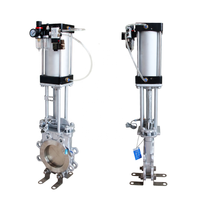 Vanne pneumatique à couteau à lisier DKV avec actionneur pneumatique Vanne pneumatique à couteau à glissière en acier inoxydable 304