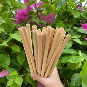 100% pailles en bambou réutilisables biodégradables naturelles pailles jetables à vendre - Product Image 2