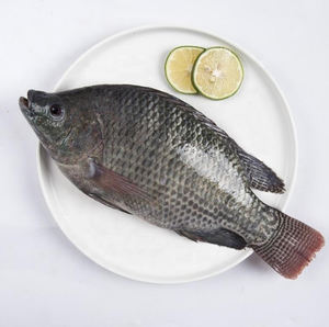 Tilapia Fraîche Entière Nettoyée et Éviscérée Fournisseur en Gros de Produits de la Mer - Product Image 5