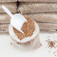 Granulés de bois de biomasse premium 6 mm