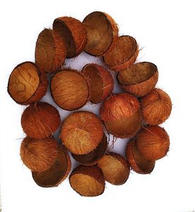 Cuencos Ovalados de Cáscara de Coco Cruda |   Tazón de Comedor Hecho a Mano Natural |   Vajilla Sostenible al por Mayor - Product Image 5