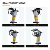 Compacteur vibrant électrique 220V/380V, adapté aux chantiers de construction en Asie du Sud-Est