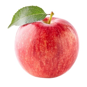 Manzanas Fuji Rojas de Primera Calidad AA, Frescas, Crujientes y Dulces, a Granel en Caja para Importación - Product Image 2