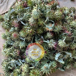 Flor de Alcachofa Seca GMO a Buen Precio, Té Seco de Alta Calidad, Exportación a Granel desde Vietnam - Product Image 3