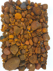 ผลิตภัณฑ์สกัดจากสัตว์วัวควายธรรมชาติ - Product Image 3