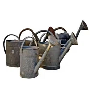 Ensemble de 6 arrosoirs galvanisés pour fleurs, faits à la main, de forme personnalisée, bidon d'eau pour fleurs de jardin au prix le plus bas - Product Image 5