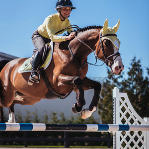 Couvre-oreille de cheval léger et lavable bonnet de mouche au crochet respirant ajustement confortable fabriqué au Pakistan idéal pour l'entraînement d'équitation - Product Image 2