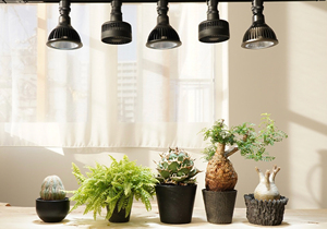 Nice Selling Aechmea Electric Ceiling Fan with 3D Printed Logo Pattern Household Cooling and <b>Heating</b> Appliances - Product Image 2