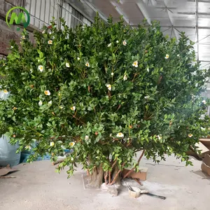 Outdoor Indoor Big Size Real Touch Leaf High Simulation Luxury Artificial Tea Flower Tree Decoration Green Camellia Flower Tree