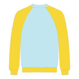 Sudadera Azul Bebé con Mangas Raglán, Bordado Chenille, Orgullo Universitario de la Hermandad Griega Divine Nine, Logotipo Personalizado - Product Image 3