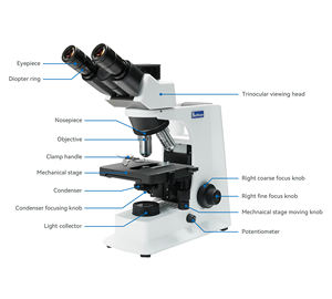 Microscope biologique optique d'infini BS-2036D de Bestscope pour des applications de laboratoire, d'éducation d'université, médicales et de recherches - Product Image 2