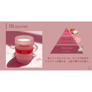 เทียนไขถั่วเหลืองอโรมาเธอราพีสำหรับตกแต่งบ้านสำหรับวันแม่ - Product Image 1