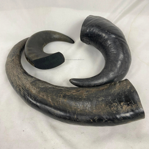 Artisanat en corne de buffle naturelle de haute qualité pour chien à mâcher en provenance d'Inde, poli, style animal, écologique, disponible en gros pour Noël - Product Image 1