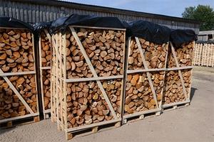 Bois de chauffage séché au four pour Israël, humidité de 10 à 15 %, bois dur, comprend des grumes de chêne, de hêtre et de frêne - Product Image 5