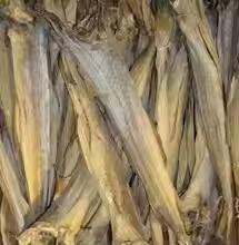 Meilleures ventes Stockfish de Norvège Cod de qualité supérieure/Achat de stock de poisson séché/Vente en gros Emballage d'assurance de stock de poisson de qualité - Product Image 4