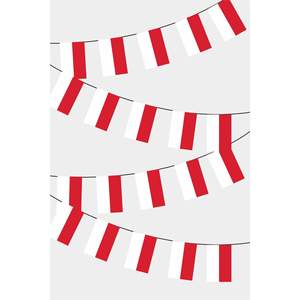 Party <b>Banners</b> Indonesia Rectangular Flag Bunting - Product Image 1