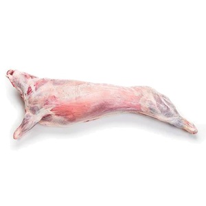 Proveedor Mayorista de Carcasa de Oveja para Exportación a Granel, Carne de Oveja Entera de Alta Pureza para Cadenas de Minoristas, Servicios de Alimentos y Comerciantes - Product Image 2