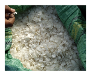 Écailles de poisson séchées en vrac au meilleur prix pour chien cochon-pour l'exportation - Product Image 6