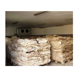 Peaux de porc humides salées - Matières premières prêtes à l'emploi pour le traitement et la fabrication du cuir - Peaux de haute qualité pour le cuir - Product Image 4