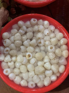 Litchi en gros en conserve au Vietnam Litchi en conserve goût délicieux Meilleur prix de litchi en conserve - Product Image 5