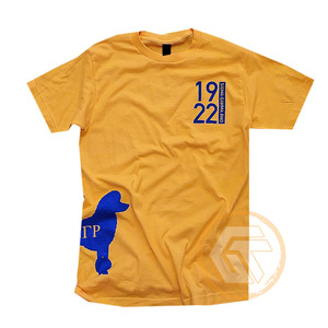 เสื้อยืดชมรมนักศึกษาหญิง Sigma Gamma Rho ของ GREEK TREASURES ขายส่ง ผ้าเจอร์ซีย์คอตตอน 100% ระบายอากาศได้ดี แห้งเร็ว ไม่ยับ เหมาะสำหรับฤดูร้อน - Product Image 2