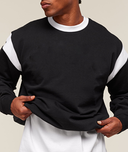 Nouveau à la mode 100% coton polaire tissu hommes sweat lourd 500% GSM à manches longues Hip Hop hommes sweat - Product Image 5