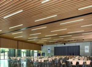 Deflector suspendido de aluminio de Metal de grano de madera de alta calidad 25W * 100H Panel acústico de grano de madera Diseño de moda de bajo costo 25W * 100H - Product Image 5