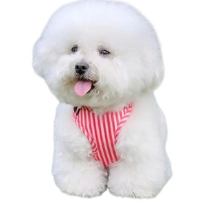 Correa de Pecho Simple de Nailon y Poliéster Transpirable para Perros Pequeños/Medianos, Ajustable, Reflectante, Tipo Chaleco, Lavable a Máquina - Product Image 6