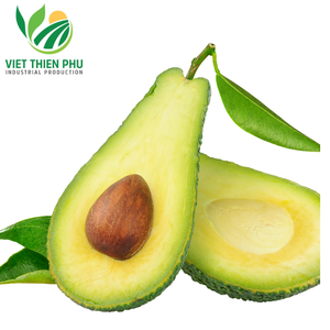 Aguacate congelado IQF de alta calidad de la última cosecha de grado premium, fruta en conserva en agua, precio de embalaje a granel de Vietnam - Product Image 1