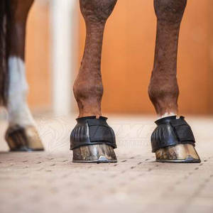 Diferentes colores Riding Bell Boots Rider Wear Riding Bell Boots Venta caliente Riding Bell Boots - Product Image 2