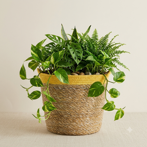 Maceta Tejida de Hierba Marina Estilo Bohemio, con Rayas Irregulares, para Decoración de Interiores y Exteriores, Jardín, Hogar - Product Image 3