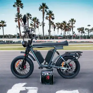 20Inch 22Ahx2 Dual Batteries Ebike 1000W 48V MTB Fat Tire Electric Bike Full Suspension Bicycle Off Road Ebike