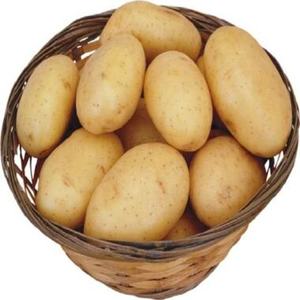 Nouvelle récolte de pommes de terre fraîches biologiques, prix d'usine bas, provenance Thaïlande - Product Image 3