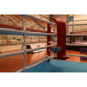 Ring de Boxeo Aprobado por la AIBA, Jaula Octogonal con Logotipo Personalizado para Competición - Product Image 4