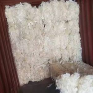 Whole Sale 100% Quality Sisal <b>Fiber</b> / Raw Sisal <b>Fiber</b> Material Ready for export - Product Image 6