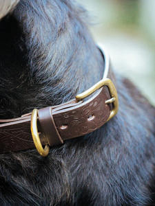 Collier de chien en relief-Paisley-32mm-marron foncé - Product Image 5