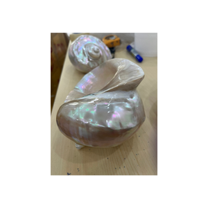 Mitades de concha de ostra Natural para decoración artesanal, plato de velas, maceta, piezas de acento, decoración costera para el hogar, proyectos de bricolaje completos - Product Image 4