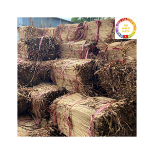 Jacinto de agua seca de bajo costo para tejer esteras, bolsos y artículos decorativos para el hogar - Product Image 1