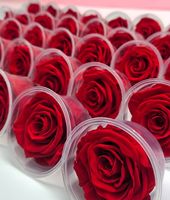 Rosa Eterna Preservada, Flores Naturales Hechas a Mano, Todos los Colores Personalizables, Larga Duración de 3 a 5 Años, Graduación, Año Nuevo