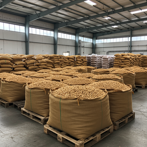 Noix de cajou séchées brutes biologiques de qualité d'exportation emballées sous vide, croquantes, propres et soigneusement traitées - Product Image 6