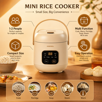 Mini-cuiseur à riz électrique pour 1-2 personnes, usage domestique