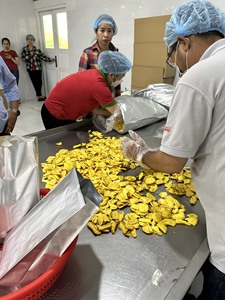 Chips de Jackfruit Frits Sous Vide Collation Saine du Vietnam Goût Naturel Sucré Jackfruit Séché en Tranches Croustillant Pour Tous Âges - Product Image 5
