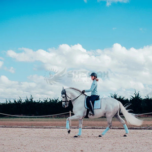 Vendaje estilo polo para entrenamiento ecuestre y protección diaria, envolturas acolchadas duraderas para pierna de caballo, envolturas para pierna de caballo, Polo OEM - Product Image 6