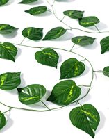 Tanaman Hias Buatan Panjang 8 Kaki, Daun Garland Money Plant, Tanaman Rambat Hijau, Sempurna untuk Dekorasi Rumah & Acara & Upacara Pooja OEM