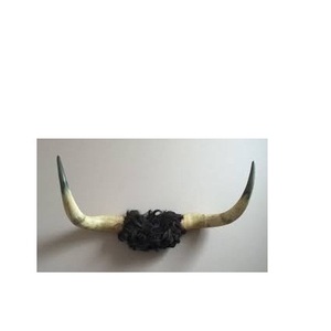 Cuerno de par de búfalo antiguo personalizado diferente elegante decoración de pared de salón par de búfalo cuerno artesanía natural - Product Image 5