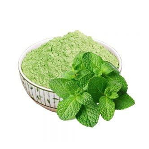 Polvo de Menta de Primera Calidad, Fuerte Aroma Refrescante, Apto para Recubrimientos de Snacks, Mezclas de Chutney, Mezclas de Especias y Mercados de Exportación - Product Image 2