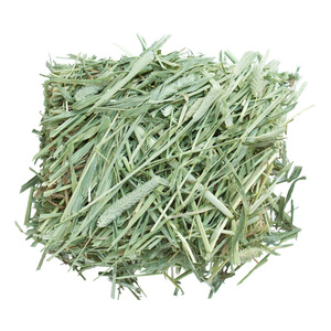 Heno de Timothy en Pellets y Pacas de Alta Calidad para Alimentación de Caballos, Ganado y Cerdos - Origen Canadá - Product Image 6