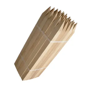 Wholesale Customized Size Acacia Stakes for Fixed Planting Cheap Price For Export In Large Quantity